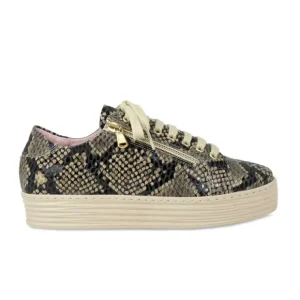 Sole Bliss Hampton: Natural Snake Print Leather^ Flats | Sneakers